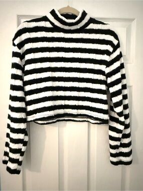 Zara Black and White Striped Cropped Turtleneck Sweater